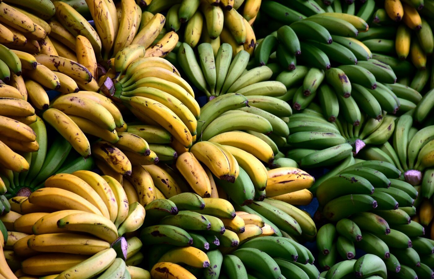 Bananas & Plantain