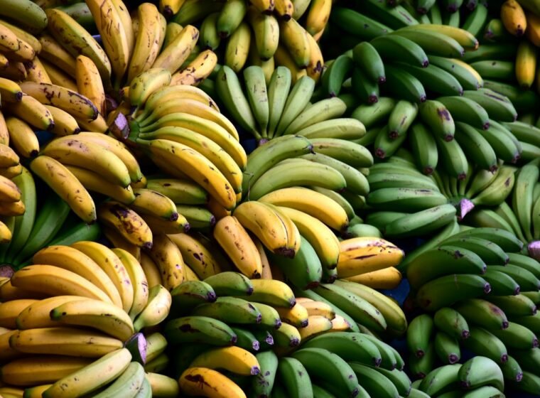 Bananas & Plantain