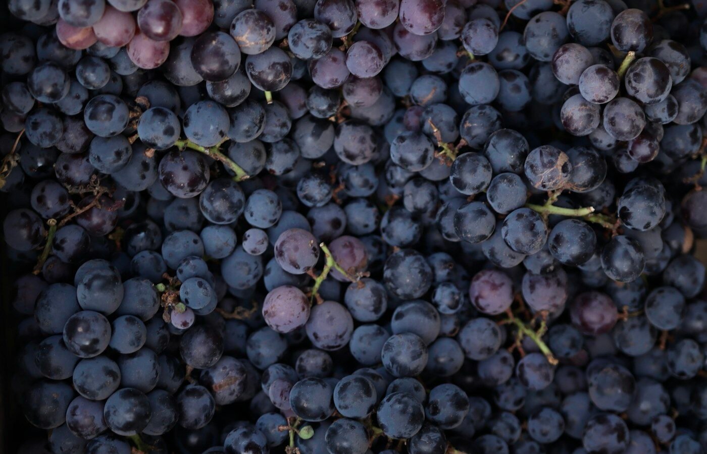 Grapes