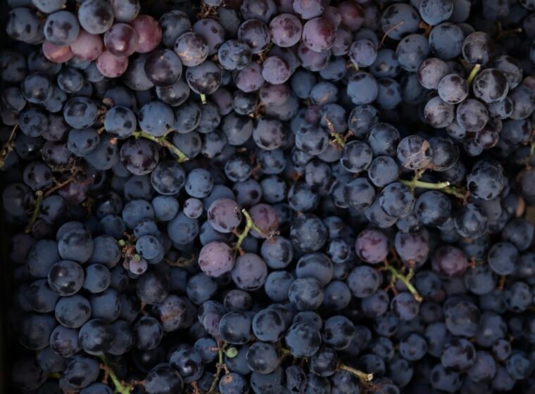 Grapes