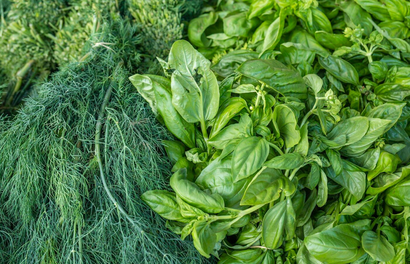 Fresh Herbs