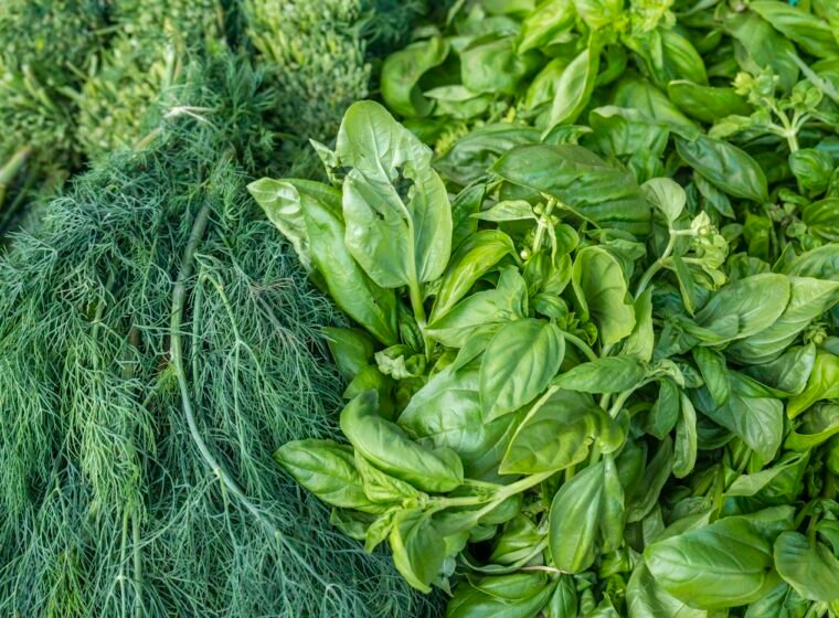 Fresh Herbs