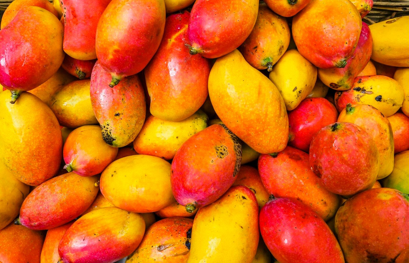 Mangoes & Tropical Fruit