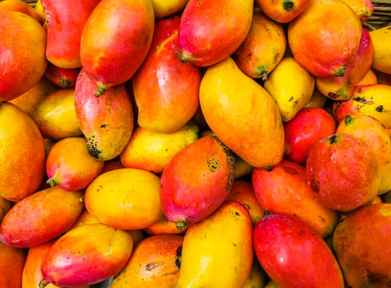 Mangoes & Tropical Fruit
