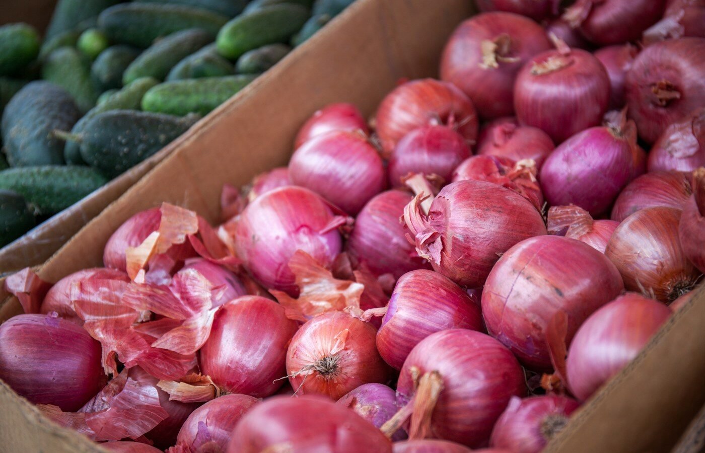 Onions & Garlic
