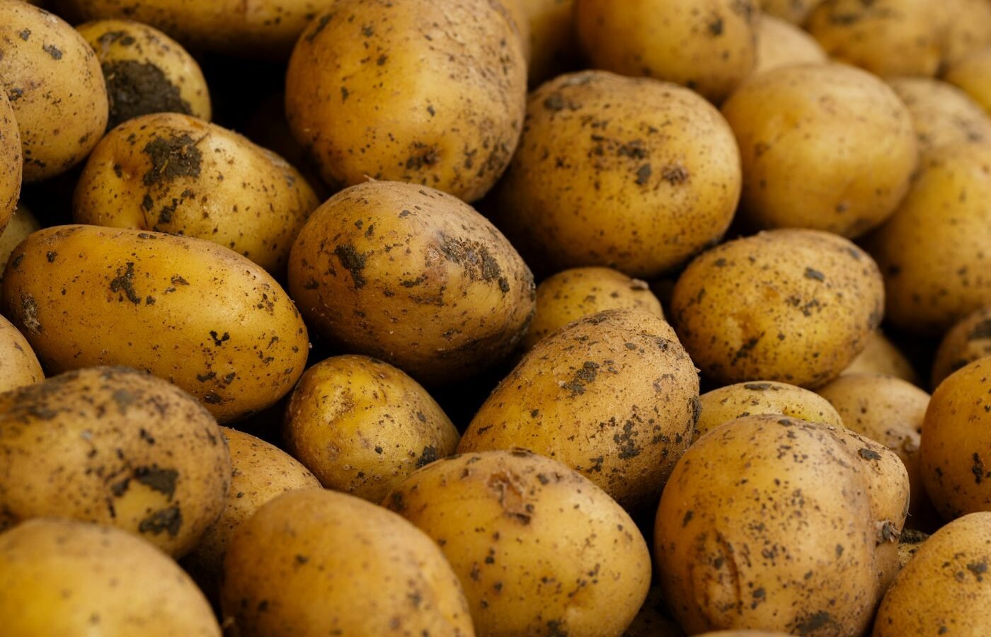 Potatoes & Root Vegetables