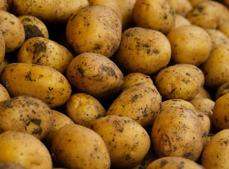 Potatoes & Root Vegetables