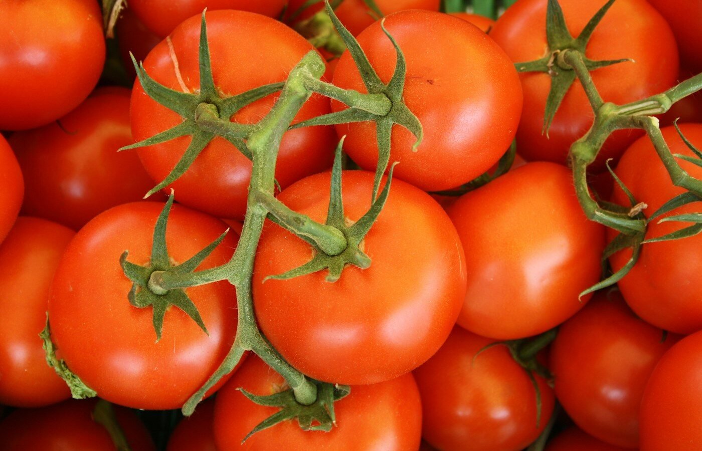 Tomatoes