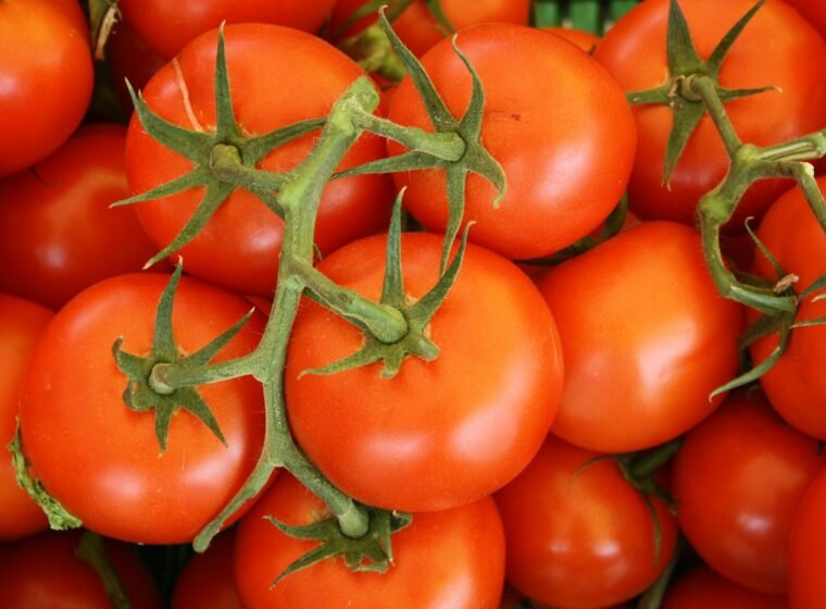 Tomatoes
